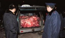 死猪新闻爆料视频播放,真相背后引发公众关注