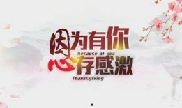 感恩节最新爆料视频大全,精彩瞬间回顾